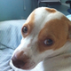 Image for article titled Shooting Challenge: Cellphone Gallery Part 6